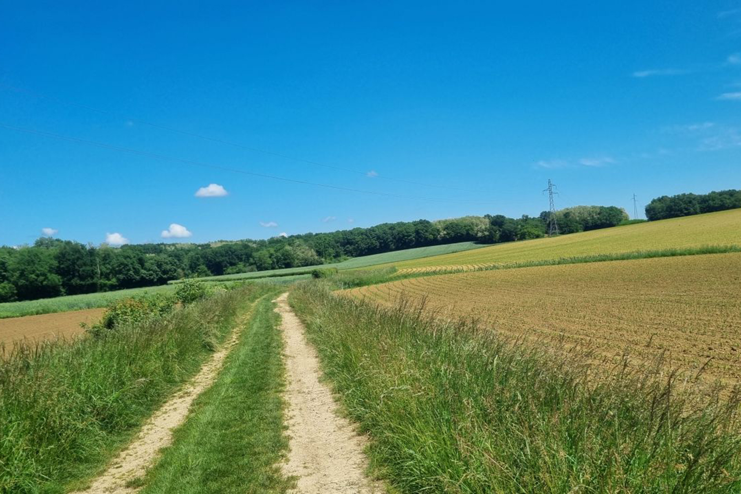 Tour de Saint-Didier-d’Aussiat : immersion en Bresse Paysage typique de la Bresse lors du Tour de Saint-Didier-d’Aussiat en VTT - cyclotourisme et itinéraire vélo