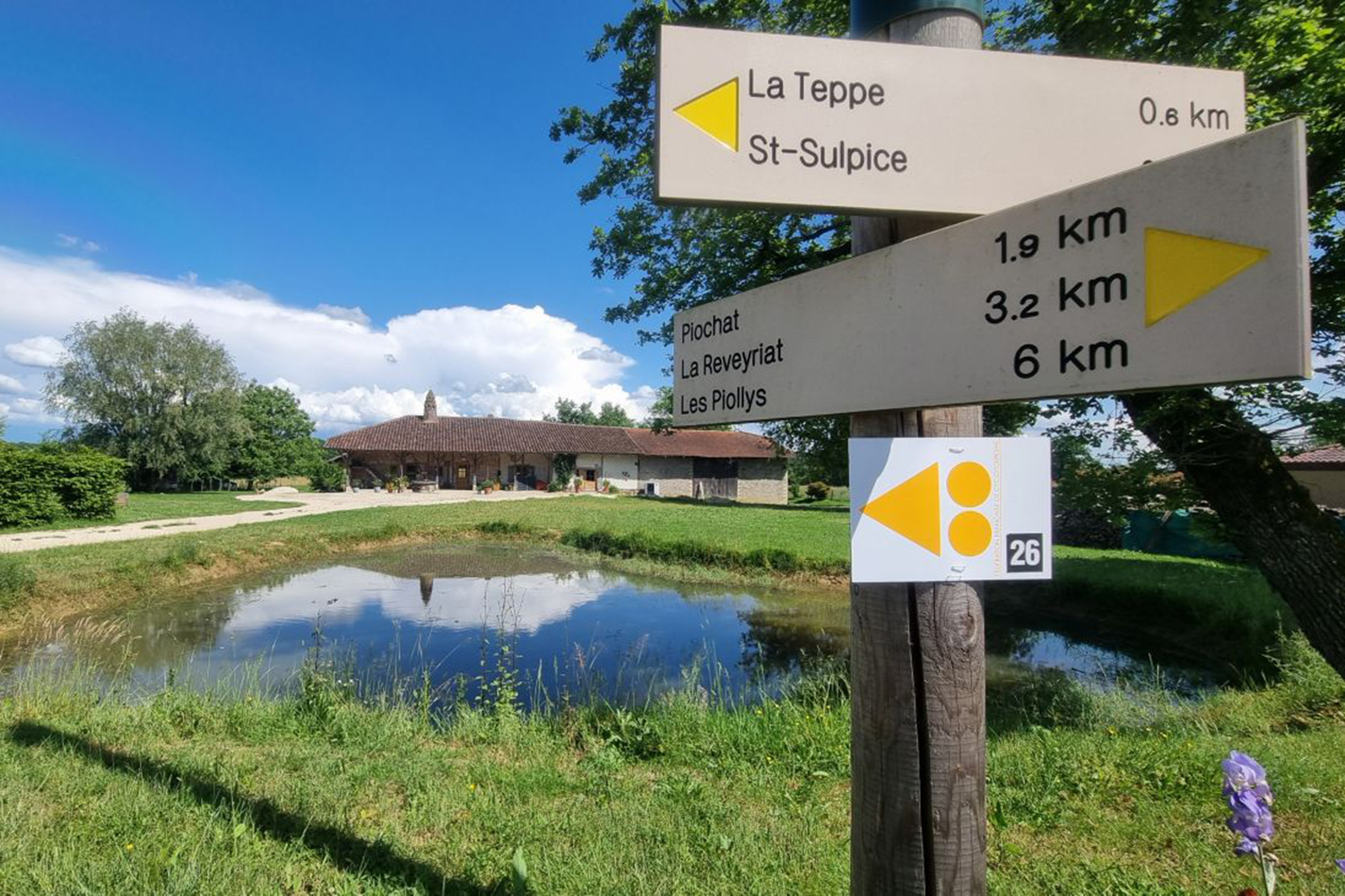 Cyclotourisme en Bresse : défi et paysages Cyclistes en action sur le circuit VTT de Saint-Didier-d’Aussiat - itinéraire vélo en Bresse