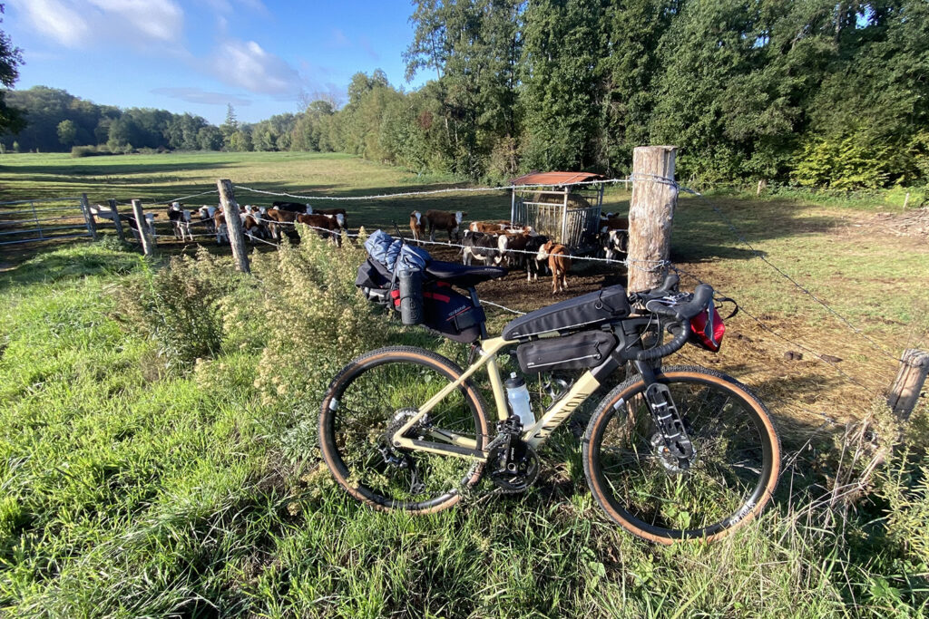 La Vélobuissonnière