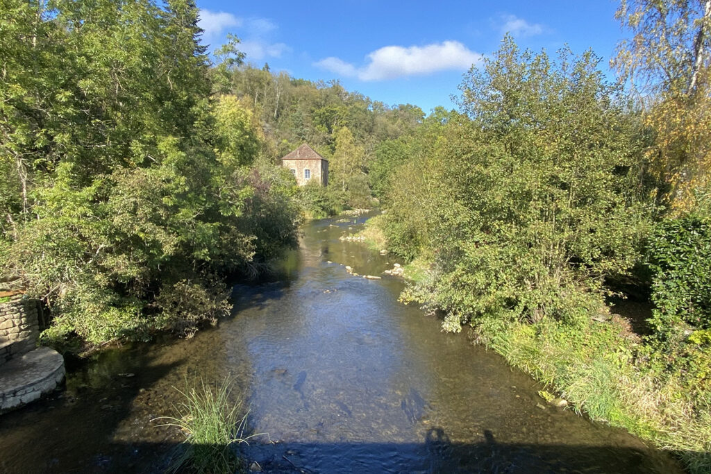 La Vélobuissonnière