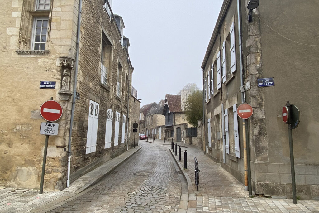 La Vélobuissonnière