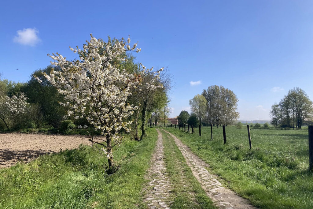Paris-Roubaix