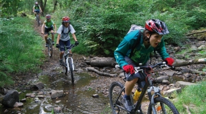 Base VTT de Sillé-le-Guillaume <p>Situé dans le Parc naturel régional Normandie-Maine, à la limite de la Normandie, de la Bretagne et du Maine, Sillé-le-Guillaume qui, sous la Révolution, avait pris le nom très imagé de Sillé-la-Montagne, se caractérise par la variété de ses paysages tourmentés et verdoyants, le calme ......</p><div class="more"><a href="https://ffvelo.fr/randonner-a-velo/vtt/bases-vtt/sarthe/sille-le-guillaume/" target="_blank" title="Base VTT de Sillé-le-Guillaume" >Lire la suite</a></div>