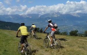 Base VTT du Trièves <p>Situé à l’extrémité Sud du département de l’Isère, à la jonction de trois départements, Hautes-Alpes, Drôme et Isère, le Trièves associe de manière surprenante les paysages alpins de moyenne montagne, et la douceur du climat de la Provence toute proche. Le Trièves est un territoire de ......</p><div class="more"><a href="https://ffvelo.fr/randonner-a-velo/vtt/bases-vtt/isere/trieves/" target="_blank" title="Base VTT du Trièves" >Lire la suite</a></div>
