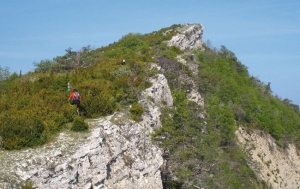Base VTT des Baronnies provençales <p>Situé dans les Baronnies Provençales, au coeur de la Drôme Provençale, Buis-les-Baronnies est un village traditionnel qui a su garder son authenticité (ancien moulin à huile, artisanat, comptoir des arômes, marché provençal, etc.). À l’ombre du St-Julien, arête rocheuse dominant la co ......</p><div class="more"><a href="https://ffvelo.fr/randonner-a-velo/vtt/bases-vtt/drome/baronnies-provencales/" target="_blank" title="Base VTT des Baronnies provençales" >Lire la suite</a></div>