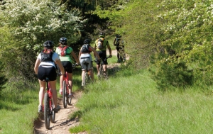 Base VTT "le Felsberg" <p>Située à l’Est du département de la Moselle, St-Avold est la seconde commune de Lorraine de par sa superficie. En effet, elle s’étale sur 3 600 hectares dont la moitié de forêt. On y trouve 6 circuits sur 161 kilomètres de chemins balisés pour découvrir les vestiges de la ligne ......</p><div class="more"><a href="https://ffvelo.fr/randonner-a-velo/vtt/bases-vtt/moselle/le-felsberg/" target="_blank" title="Base VTT « le Felsberg »" >Lire la suite</a></div>