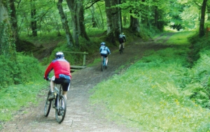 Base VTT du château <p>St-Sauveur-le-Vicomte est situé dans le département de la Manche, au sein du Parc naturel régional des Marais du Cotentin et du Bessin. La région se prête aux loisirs de plein air, dans une campagne verdoyante et variée : prairies bordées de haies vives, marais aux vastes étendues, la ......</p><div class="more"><a href="https://ffvelo.fr/randonner-a-velo/vtt/bases-vtt/manche/base-vtt-du-chateau/" target="_blank" title="Base VTT du château" >Lire la suite</a></div>