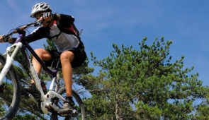 Base VTT Val de Durance <p>En région Provence-Alpes-Côte d’Azur, au coeur des Alpes de Haute-Provence, entre Digne-les-Bains, Sisteron et Manosque, le Val de Durance est un territoire de moyenne montagne, idéal pour la pratique du VTT et jouissant d’un climat
exceptionnel toute l’année. Reconnu par la presse sp ......</p><div class="more"><a href="https://ffvelo.fr/randonner-a-velo/vtt/bases-vtt/alpes-de-haute-provence/val-de-durance/" target="_blank" title="Base VTT Val de Durance" >Lire la suite</a></div>
