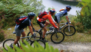 Base VTT de Guerlédan <p>Situés en plein coeur de la Bretagne, les sentiers du Pays de Guerlédan vous entraînent à la découverte d’un patrimoine étonnant où se mêlent l’art, la nature et les traditions du terroir. Nos itinéraires balisés ne peuvent laisser indifférente l’âme du randonn ......</p><div class="more"><a href="https://ffvelo.fr/randonner-a-velo/vtt/bases-vtt/cotes-d-armor/guerledan/" target="_blank" title="Base VTT de Guerlédan" >Lire la suite</a></div>