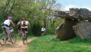 Pays Saint-Affricain <p>Le St-Affricain, au sud du département de l’Aveyron fait partie du Parc naturel régional des Grands Causses. Situés sur les avants Causses du Larzac, ses paysages préservés s’étendent à perte de vue. Entre grès rouge et calcaire, entre Causses, rougier et vallées, les circuits proposé ......</p><div class="more"><a href="https://ffvelo.fr/randonner-a-velo/vtt/bases-vtt/aveyron/pays-saint-affricain/" target="_blank" title="Pays Saint-Affricain" >Lire la suite</a></div>