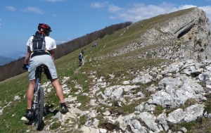 Royans - Vercors <p>À la rencontre des Alpes du Nord et du Sud, bénéficiant d’une subtile influence climatique montagnarde, océanique et méditerranéenne, le Royans-Vercors offre une richesse exceptionnelle tant au niveau de ses reliefs que de la faune et de la flore, ce qui lui vaut d’être classé P ......</p><div class="more"><a href="https://ffvelo.fr/randonner-a-velo/vtt/bases-vtt/drome/royans-vercors/" target="_blank" title="Royans – Vercors" >Lire la suite</a></div>