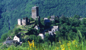 Base VTT nature du Carladez <p>Le Carladez est un endroit secret au pied des volcans du Cantal, aux sites uniques et souvent sauvages comme la presqu’ile de Laussac, le village de Valon, les gorges de la Truyère. Ce territoire a appartenu durant 148 ans à la principauté de Monaco. Le maitre mot de cette régio ......</p><div class="more"><a href="https://ffvelo.fr/randonner-a-velo/vtt/bases-vtt/aveyron/base-vtt-nature-du-carladez/" target="_blank" title="Base VTT nature du Carladez" >Lire la suite</a></div>
