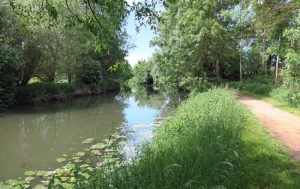 Base VTT de Montrevel-en-Bresse <p>À une heure de Lyon, la base VTT de Montrevel-en-Bresse est située au cœur de la Bresse et d’un espace entièrement dédié aux loisirs : la Plaine tonique. Elle réunit sur un même site un camping quatre étoiles, un centre aquatique, un restaurant et un lac dédié aux loisirs aquatiques e ......</p><div class="more"><a href="https://ffvelo.fr/randonner-a-velo/vtt/bases-vtt/ain/base-vtt-de-montrevel-en-bresse/" target="_blank" title="Base VTT de Montrevel-en-Bresse" >Lire la suite</a></div>