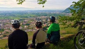 Base VTT Rhône-Crussol <p>La région
Rhône Crussol, véritable destination vignoble et pleine nature. Territoire de trois appellations d’origine contrôlée prestigieuses, Cornas, Saint-Péray et Saint-Joseph, mais aussi point de départ de vos excursions ou plus de 350 kilomètres de réseau de sentiers entretenus et ......</p><div class="more"><a href="https://ffvelo.fr/randonner-a-velo/vtt/bases-vtt/ardeche/base-vtt-rhone-crussol/" target="_blank" title="Base VTT Rhône-Crussol" >Lire la suite</a></div>