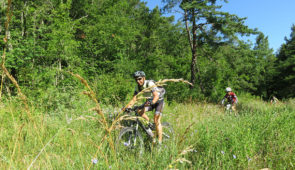 Base VTT Pays de Grignan – Enclave des Papes <p>La région
Les multiples facettes du Pays de Grignan et de l’Enclave des Papes offrent des paysages variés où lavande, vigne et chênes truffiers forment une mosaïque colorée.
Vous pourrez découvrir de nombreuses curiosités tant architecturales que naturelles : Château de Grignan, ......</p><div class="more"><a href="https://ffvelo.fr/randonner-a-velo/vtt/bases-vtt/drome/base-vtt-pays-de-grignan-enclave-des-papes/" target="_blank" title="Base VTT Pays de Grignan – Enclave des Papes" >Lire la suite</a></div>