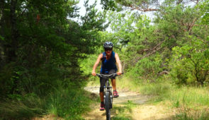 Base VTT de randonnée du Tricastin <p>Entre champs de lavandes, vignes et truffières, le Tricastin se situe en plein cœur de la Drôme provençale. Ce territoire composé de 14 communes, dont Saint-Paul-Trois-Châteaux, offre de nombreuses opportunités de balades en pleine nature. Les amateurs de vélo, trouveront le terrain p ......</p><div class="more"><a href="https://ffvelo.fr/randonner-a-velo/vtt/bases-vtt/drome/base-vtt-de-randonnee-tricastin/" target="_blank" title="Base VTT de randonnée du Tricastin" >Lire la suite</a></div>