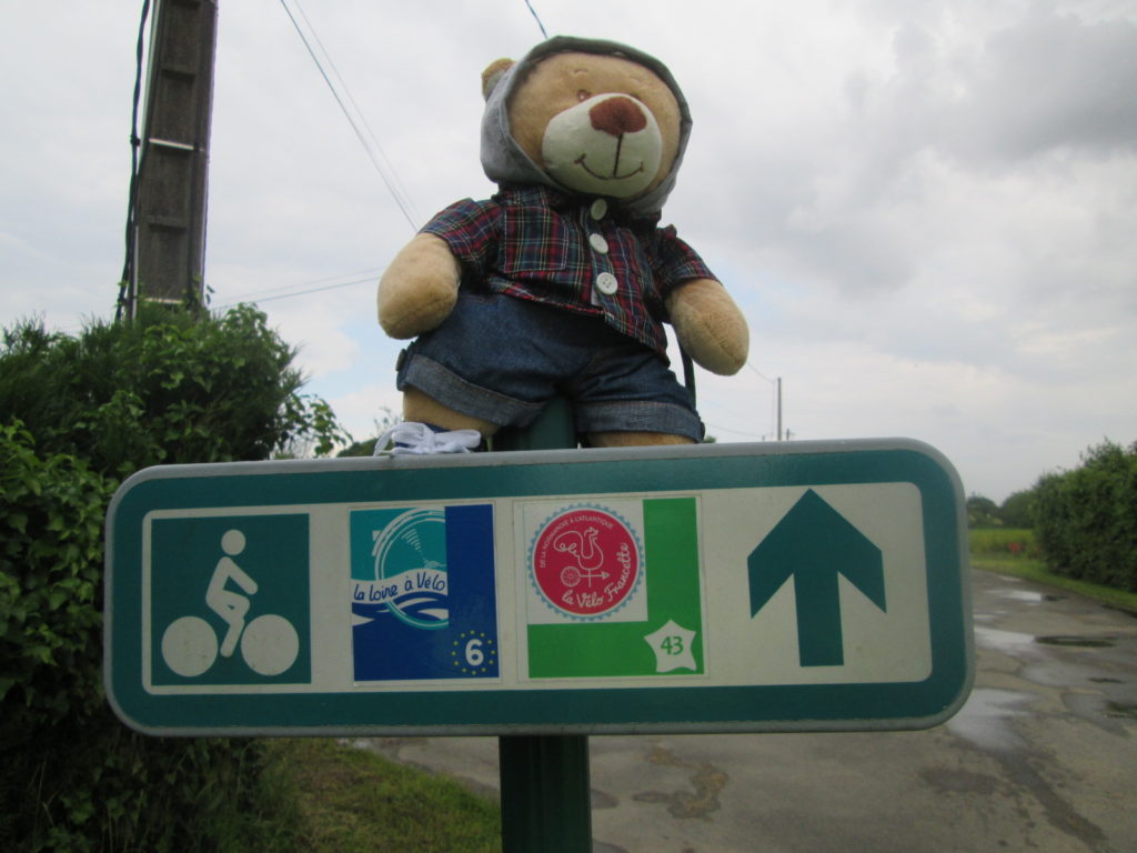 Martin, le petit ours qui voyage à vélo