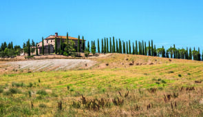 <p>











Située idéalement entre Florence, Sienne et San Gimignano, Colle di Val d’Elsa est juchée sur une jolie petite colline boisée où se côtoient les vignes, les oliviers e ......</p><div class="more"><a href="https://ffvelo.fr/randonner-a-velo/ou-quand-pratiquer/sejours-et-voyages/les-cites-historiques-de-la-toscane/" target="_blank" title="Les cités historiques de la Toscane" >Lire la suite</a></div>