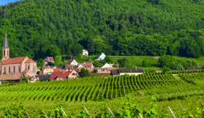 <p>



































































Découvrez ces petits villages fleuris nichés dans les vignes et forêts : Bergheim, Ribeauvillé, Soultzmat…  ......</p><div class="more"><a href="https://ffvelo.fr/randonner-a-velo/ou-quand-pratiquer/sejours-et-voyages/la-route-des-vins-et-les-cols-dalsace-2/" target="_blank" title="La route des vins et les cols d’Alsace" >Lire la suite</a></div>