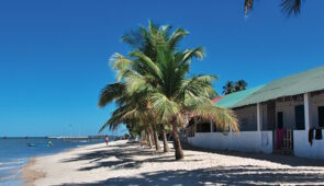 <p>RANDONNÉE EN CASAMANCE 
Cette aventure à vélo en Casamance se déroulera sur des petites routes tranquilles, où vous découvrirez les superbes plages de sable blanc bordées de cocotiers.  ......</p><div class="more"><a href="https://ffvelo.fr/randonner-a-velo/ou-quand-pratiquer/sejours-et-voyages/senegal-10/" target="_blank" title="Sénégal" >Lire la suite</a></div>