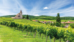 <p>Un condensé de beautés et de plaisirs ! Avec ses châteaux médiévaux, les jolis villages colorés et le massif des Vosges qui surplombe les vignes, la région du vignoble d’Alsace est une  ......</p><div class="more"><a href="https://ffvelo.fr/randonner-a-velo/ou-quand-pratiquer/sejours-et-voyages/le-vignoble-dalsace-et-les-cols-vosgiens/" target="_blank" title="Vignoble d’Alsace et cols vosgiens" >Lire la suite</a></div>