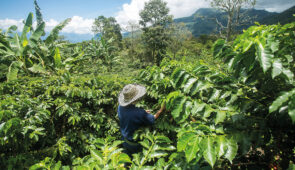 <p>DE LA CORDILLÈRE CENTRALE À L’OCCIDENTALE
Possibilité de s’inscrire en liste d’attente.
Au départ de La Ceja del Tambo (Antioquia), vous plongerez au coeur d’une Colombie au ......</p><div class="more"><a href="https://ffvelo.fr/randonner-a-velo/ou-quand-pratiquer/sejours-et-voyages/colombie-2026/" target="_blank" title="COLOMBIE" >Lire la suite</a></div>