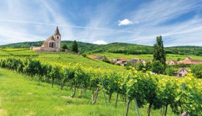 <p>Un condensé de beautés et de plaisirs vous attendent ! Avec ses châteaux médiévaux, ses jolis villages colorés et le massif des Vosges qui surplombe les vignes, la région du vignoble al ......</p><div class="more"><a href="https://ffvelo.fr/randonner-a-velo/ou-quand-pratiquer/sejours-et-voyages/le-vignoble-dalsace-et-les-cols-vosgiens-2025/" target="_blank" title="LE VIGNOBLE D’ALSACE ET LES COLS VOSGIENS" >Lire la suite</a></div>