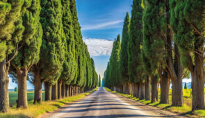 <p>LA CÔTE DES ÉTRUSQUES DE LA TOSCANE
Vous découvrirez chaque jour des paysages aussi différents que magnifiques, de la longue bande de sable clair, avec ses dunes et ses pinèdes, aux bel ......</p><div class="more"><a href="https://ffvelo.fr/randonner-a-velo/ou-quand-pratiquer/sejours-et-voyages/la-cote-des-etrusques-de-la-toscane-2025/" target="_blank" title="ITALIE – TOSCANE" >Lire la suite</a></div>