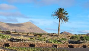 <p>ENTRE VOLCANS ET OCÉAN
Explorez Lanzarote à votre rythme à travers six circuits de 65 à 110 km, empruntant routes sinueuses et pistes sauvages. Entre paysages volcaniques aux teintes co ......</p><div class="more"><a href="https://ffvelo.fr/randonner-a-velo/ou-quand-pratiquer/sejours-et-voyages/ile-des-canaries/" target="_blank" title="ÎLE DES CANARIES / LANZAROTE" >Lire la suite</a></div>