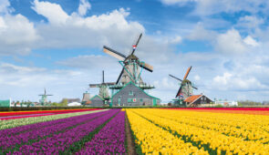 <p>























































































Au départ d’Amsterdam, plongez au coeur du printemps hollandais et vivez une expérience unique à  ......</p><div class="more"><a href="https://ffvelo.fr/randonner-a-velo/ou-quand-pratiquer/sejours-et-voyages/hollande-2026/" target="_blank" title="CAP SUR LES TULIPES" >Lire la suite</a></div>