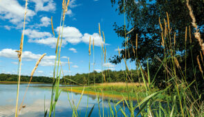 <p>SÉJOUR INCLUSIF POUR LES PERSONNES EN SITUATION DE HANDICAP.
À quelques kilomètres de Lyon, au cœur d’un écrin de verdure, cette destination privilégiée allie nature, culture et gastron ......</p><div class="more"><a href="https://ffvelo.fr/randonner-a-velo/ou-quand-pratiquer/sejours-et-voyages/sejour-pour-tous-handicap-2026/" target="_blank" title="LA DOMBES ET SES MILLE ÉTANGS" >Lire la suite</a></div>