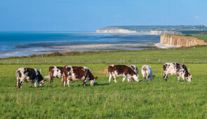 <p>Vous roulerez entre terre et mer à la découverte du Cotentin, un terrain idéal pour le VTT avec ses chemins variés et pittoresques. Vous pédalerez le long des plages sauvages, grimperez ......</p><div class="more"><a href="https://ffvelo.fr/randonner-a-velo/ou-quand-pratiquer/sejours-et-voyages/nord-cotentin-tour-vtt-2026/" target="_blank" title="NORD COTENTIN TOUR VTT" >Lire la suite</a></div>