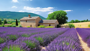 <p>Partez à la découverte de Bédoin et laissez-vous surprendre par les paysages variés du Vaucluse. Vous explorerez les gorges spectaculaires de la Nesque et du Toulourenc, ainsi que les v ......</p><div class="more"><a href="https://ffvelo.fr/randonner-a-velo/ou-quand-pratiquer/sejours-et-voyages/les-merveilles-du-vaucluse-2026/" target="_blank" title="LES MERVEILLES DU VAUCLUSE" >Lire la suite</a></div>