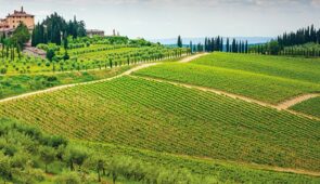 <p>Située entre Florence, Sienne et San Gimignano, Colle di Val d’Elsa vous accueillera sur une charmante colline boisée, entourée de vignes, d’oliviers et de cultures de céréales, dans un ......</p><div class="more"><a href="https://ffvelo.fr/randonner-a-velo/ou-quand-pratiquer/sejours-et-voyages/les-cites-historiques-de-la-toscane-2026/" target="_blank" title="LES CITÉS HISTORIQUES DE LA TOSCANE" >Lire la suite</a></div>
