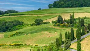 <p>Chaque jour, vous découvrirez des paysages aussi variés que splendides : des spectaculaires et douces collines boisées typiques de la Toscane aux longues plages de sable clair bordées d ......</p><div class="more"><a href="https://ffvelo.fr/randonner-a-velo/ou-quand-pratiquer/sejours-et-voyages/la-cote-des-etrusques-2026/" target="_blank" title="LA CÔTE DES ÉTRUSQUES" >Lire la suite</a></div>