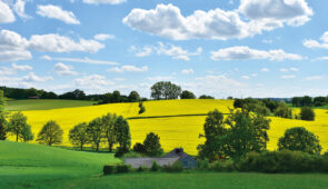 <p>Au départ de Metz, vous partirez à la découverte des vallées de la Moselle, de la Nahe et du Rhin romantique, jusqu’à Coblenz. Ce voyage à vélo vous fera traverser des paysages splendid ......</p><div class="more"><a href="https://ffvelo.fr/randonner-a-velo/ou-quand-pratiquer/sejours-et-voyages/les-coteaux-de-la-moselle-et-du-rhin-2026/" target="_blank" title="LES COTEAUX DE LA MOSELLE ET DU RHIN" >Lire la suite</a></div>